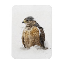 Preparado Para El Imán De Nieve