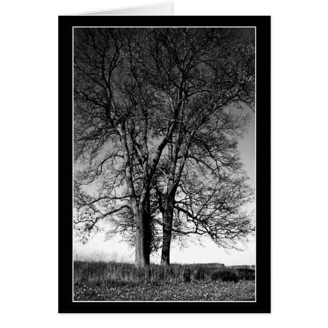 Preparado para el invierno (Frente)