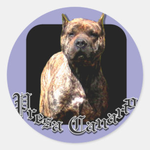 Presa Canario pegatina