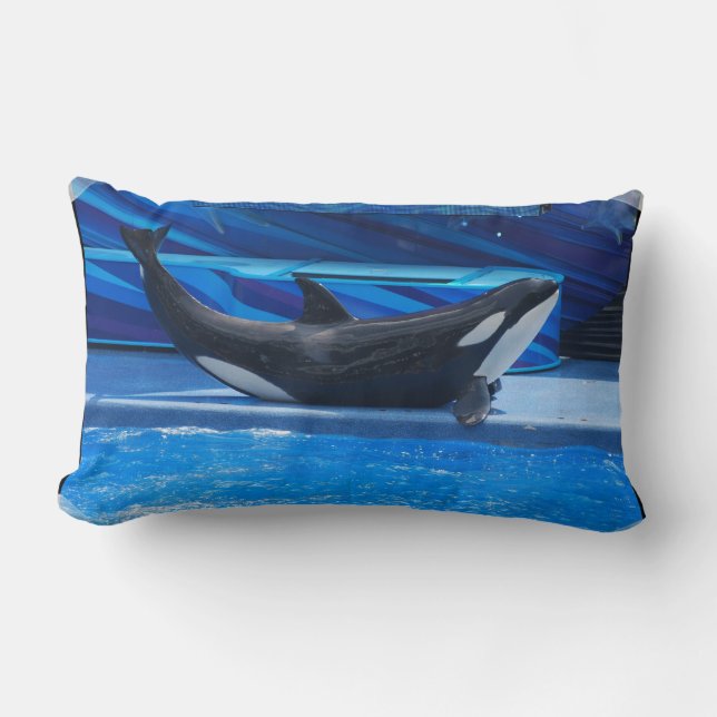 Presentación de la almohada de la orca (Anverso)