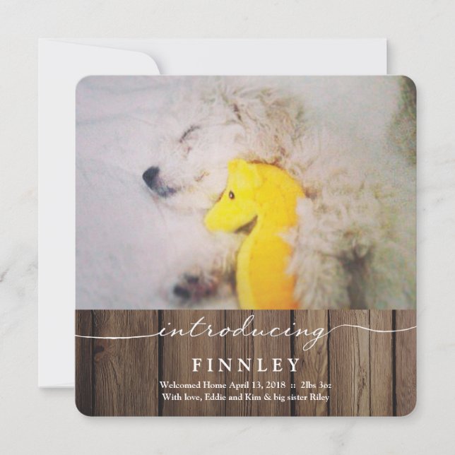 Presentación del nuevo Mascota | Invitación del be (Anverso)