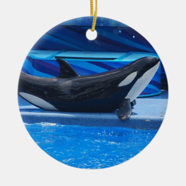 Presentación del ornamento de la orca (Frente)