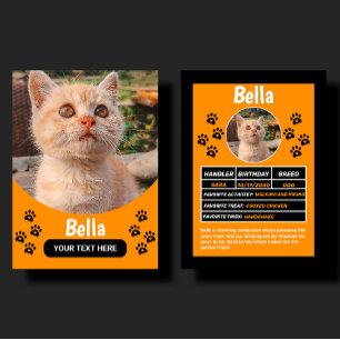 Presentación Tarjeta de Cumpleaños y Regalo de Mascota de Gato 