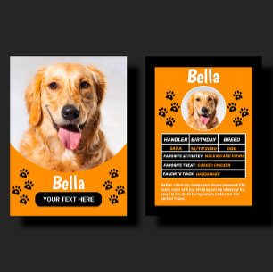 Presentación Tarjeta de Cumpleaños y Regalo de Mascota Personal