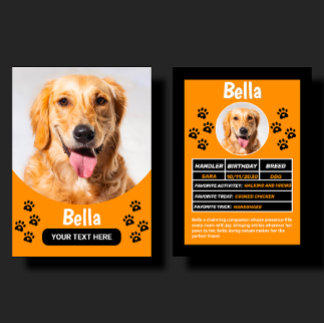 Presentación Tarjeta de Cumpleaños y Regalo de Mascota Personal