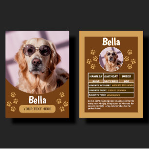 Presentación Tarjeta de Cumpleaños y Regalo de Mascota Personal