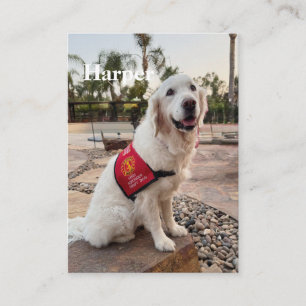 Presentación Tarjeta de intercambio terapéutico para perros dur