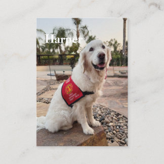Presentación Tarjeta de intercambio terapéutico para perros dur