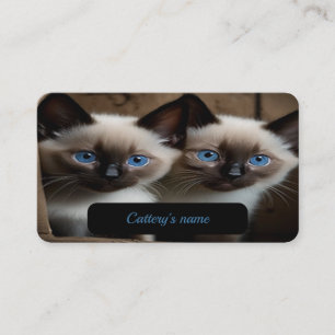 Presentación Tarjeta De Negocios De personalizable Para La Cata