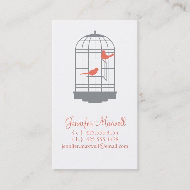 Presentación Tarjeta de visita del Birdcage (Anverso)
