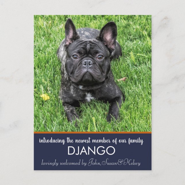 "Presentamos" nuestra nueva Invitación de perros (Anverso)