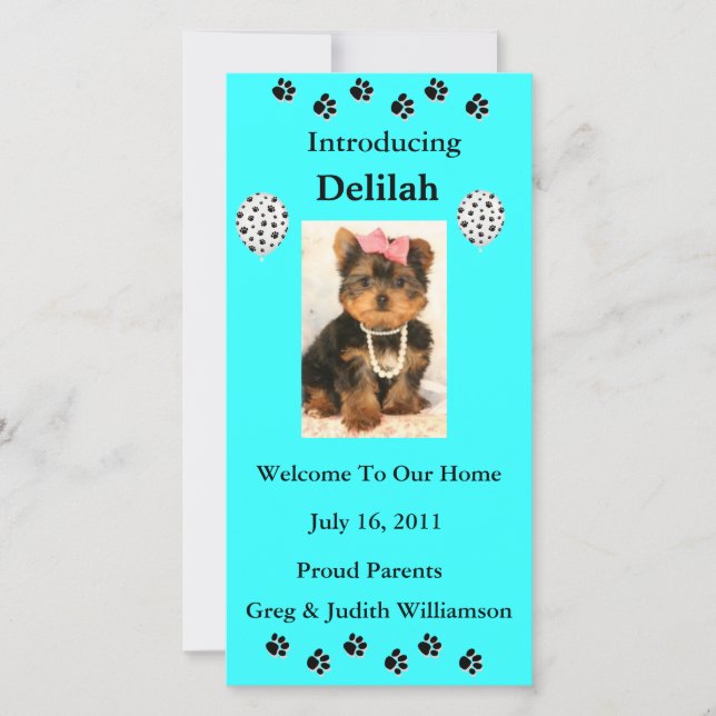 Presentar su tarjeta fotográfica de Mascota adopta (Anverso)