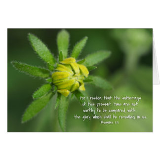 Presentes sufrimientos romanos 8:18 Yellow Daisy