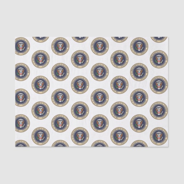 Presidente de papel de tejidos decorativos (Anverso)