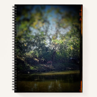 Presidente del cuaderno dirigido por el Colegio de