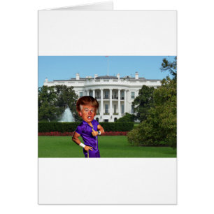 presidente donald trump