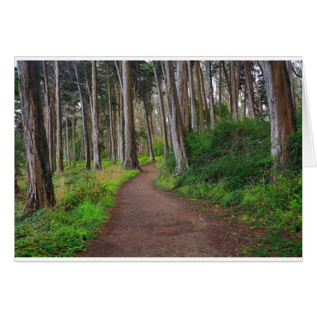 Presidio, SF (Anverso (Horizontal))