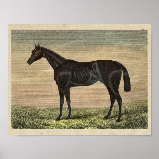 Pretender la impresión de caballos de época 1873 (Frente)