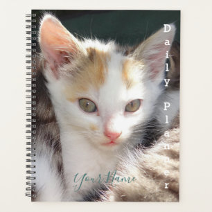 Pretty Kitty - Planificador Diario- HAMbWG