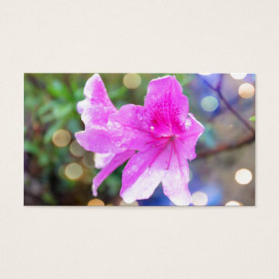 pretty pink garden flowers. floral botanical photo