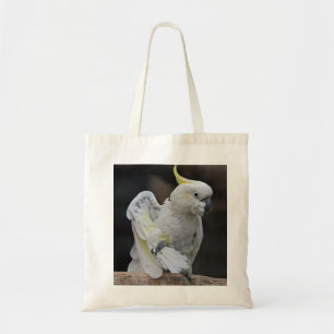 Previendo la bolsa de Cockatoo