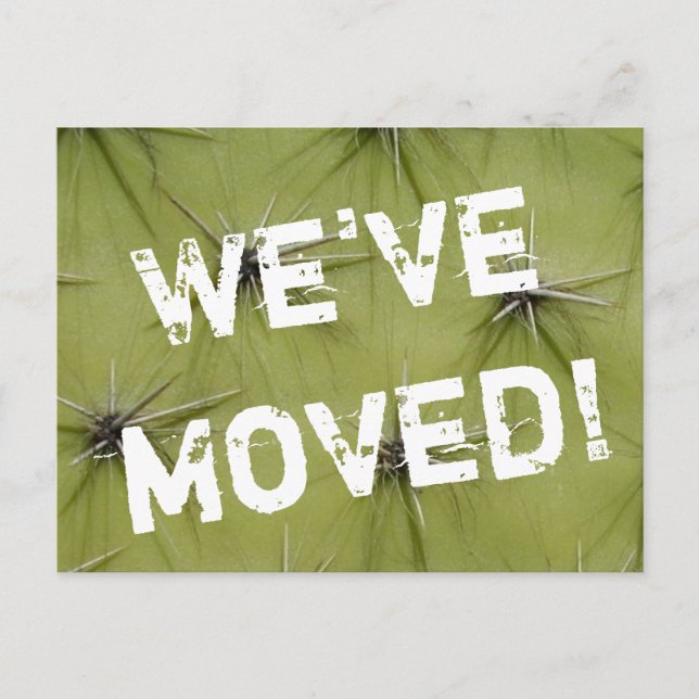 Prickley cactus mueve postales (Anverso)