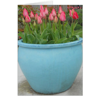 Primavera