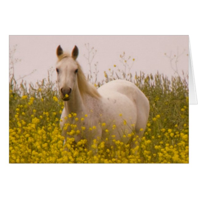 Primavera (Anverso (Horizontal))