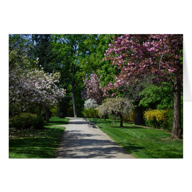 Primavera (Anverso (Horizontal))