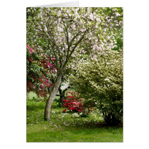 Primavera