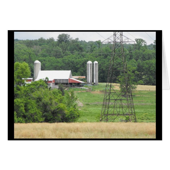 Primavera 40 (Anverso (Horizontal))