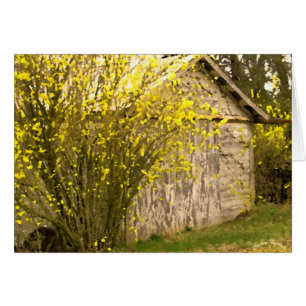 Primavera Apalache