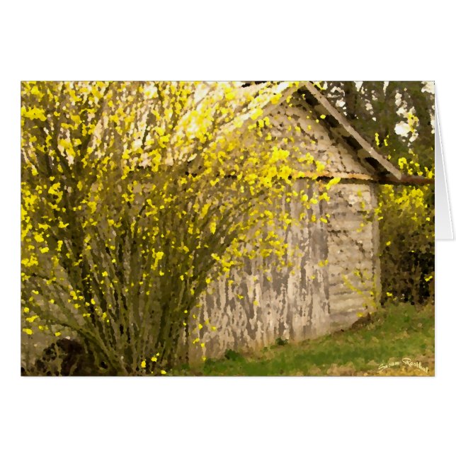 Primavera Apalache (Anverso (Horizontal))