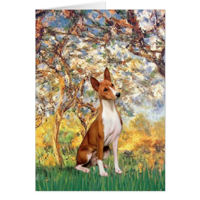 Primavera - Basenji (Frente)