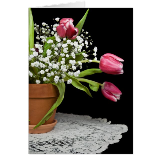 Primavera de bienvenida (Frente)