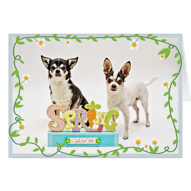 Primavera de Chihuahua (Anverso (Horizontal))