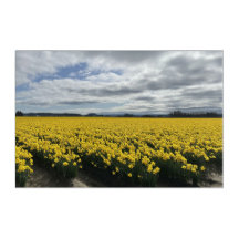 Primavera de los Daffodils en arte acrílico de la 