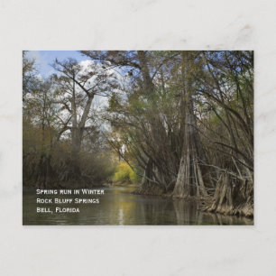 Primavera de postales en invierno