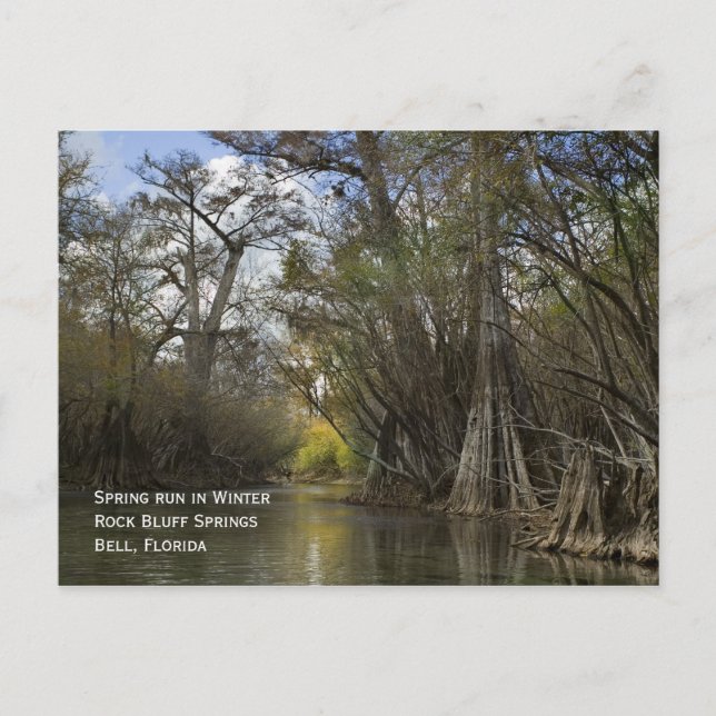 Primavera de postales en invierno (Anverso)