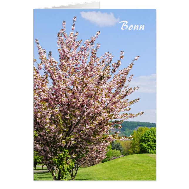 Primavera en Bonn (Frente)