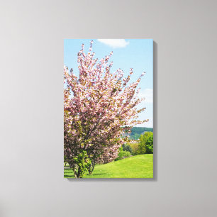 Primavera en Bonn Lienzo Envuelto