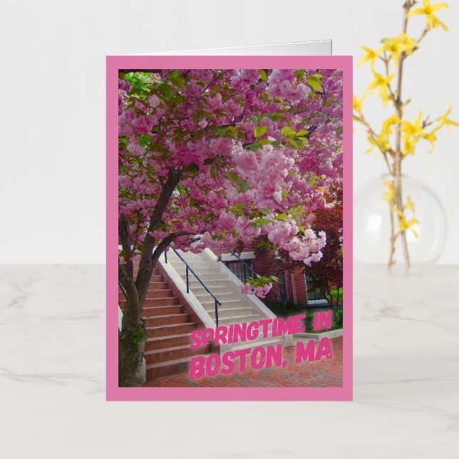 Primavera en Boston, MA (flor amarilla)