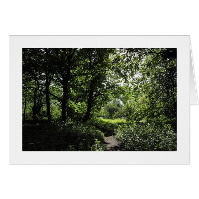 Primavera en el bosque 03 (bordeado) (Anverso (Horizontal))