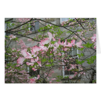 Primavera en el Swarthmore College