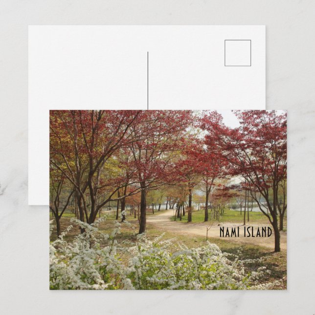 Primavera en la postal de la isla Nami (Anverso / Reverso)