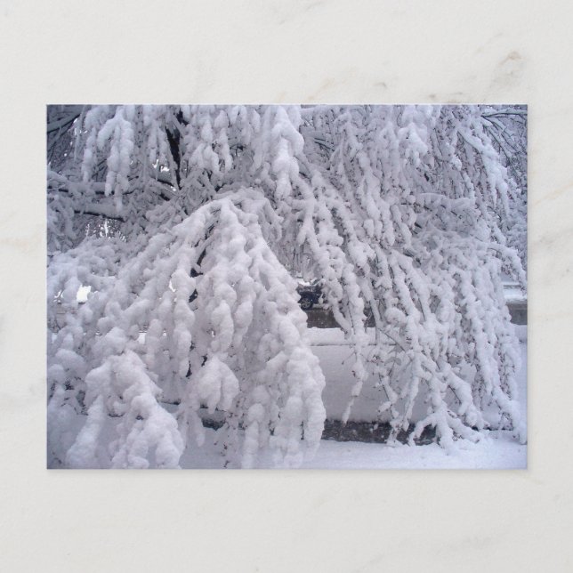 Primavera en la postal de Wisconsin (Anverso)