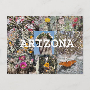 Primavera en la tarjeta postal de Arizona