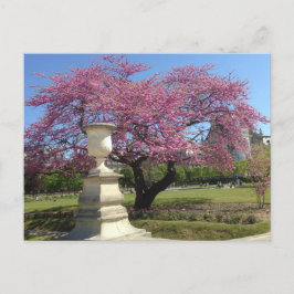 Primavera en la tarjeta postal de París