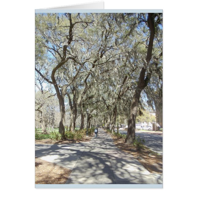 Primavera en sabana (Frente)