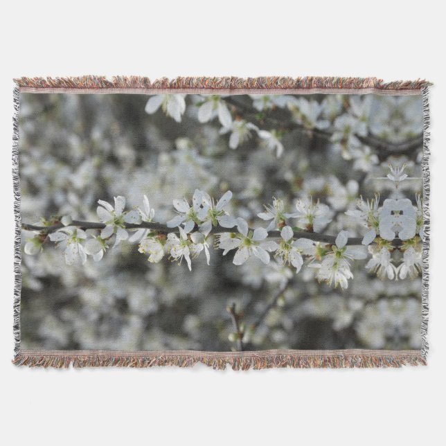 Primavera, Flores blancas. Foto Lanzar una manta (Anverso)